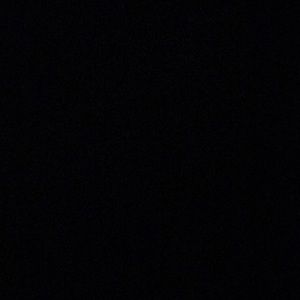 Meet your Posher, Trent